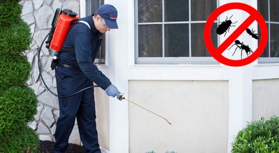 Sarıçam Karınca İlaçlama böcek ilaçlama ve haşere kontrolü — ilaclama-tr.com